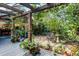 Peaceful back patio featuring a stone path and abundant greenery at 1611 Walnut Ave, Winter Park, FL 32789