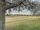 A view from the backyard of the home looking out to the surrounding neighborhood and a field at 190 Crepe Myrtle Dr, Groveland, FL 34736