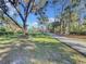 Home with a tree swing and a long driveway, surrounded by trees at 3415 S Mellonville Ave, Sanford, FL 32773