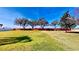 Expansive backyard with lush green grass, mature trees and a brick fence at 1855 Sugar Cove Ct, Ocoee, FL 34761