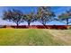 Wide open backyard with a brick privacy fence and well-maintained lawn at 1855 Sugar Cove Ct, Ocoee, FL 34761
