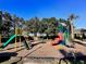 Various playground equipment: slides and climbing structures offer a fun play area at 1855 Sugar Cove Ct, Ocoee, FL 34761