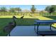 Backyard with picnic table and sandhill cranes at 2058 Derwent Dr, Davenport, FL 33896