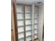 Walk-in pantry with adjustable shelving at 2626 S Atlantic Ave # 102, Daytona Beach Shores, FL 32118