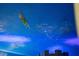 Tinkerbell themed ceiling detail at 2735 Calabria N Ave, Davenport, FL 33897