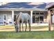 Horse grazing with house in background at 720 Napoli Ln, New Smyrna Beach, FL 32168