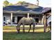 Horse grazing with house in background at 720 Napoli Ln, New Smyrna Beach, FL 32168