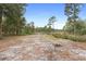 Wooded backyard with pond view at 1260 Lake Helen Osteen Rd, Lake Helen, FL 32744