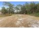 Large backyard, wooded area, home view at 1260 Lake Helen Osteen Rd, Lake Helen, FL 32744