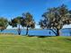 Scenic waterfront property with lush green lawn and mature trees at 15783 Tangerine Dream Ct, Winter Garden, FL 34787