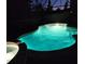 Inviting backyard pool and jacuzzi illuminated at night, creating a relaxing ambiance at 2555 Sand Arbor Cir, Orlando, FL 32824