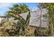 Landscaped backyard with cactus and fence at 257 Bonville Dr, Davenport, FL 33897