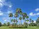 Community entrance with lush landscaping and palm trees at 142 Winghurst Blvd, Orlando, FL 32828