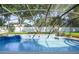 Inviting screened pool area with lush landscaping at 148 Calliope St, Ocoee, FL 34761