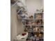 Well-organized pantry with ample shelving for food storage at 17608 Sailfin Dr, Orlando, FL 32820