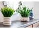 Entryway with modern console table and decorative plants at 3522 Sandalwood Isle Way, Ocoee, FL 34761