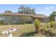 Ranch style home with mature landscaping and a spacious yard at 1613 Oriole Ave, Orlando, FL 32803