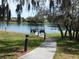 Scenic view of the lake and community dock, accessible by a paved path, and shaded by a tree at 2592 Grassy Point Dr # 106, Lake Mary, FL 32746