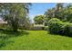 Overgrown backyard with shed and wooden fence at 605 Brightview Dr, Lake Mary, FL 32746