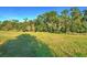 Open grassy backyard with a tree line at 2423 Hyatt Creek Ln, Port Orange, FL 32128