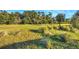 Expansive grassy backyard with natural landscape at 2423 Hyatt Creek Ln, Port Orange, FL 32128