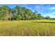 Open grassy backyard with a tree line at 2423 Hyatt Creek Ln, Port Orange, FL 32128