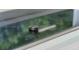 Close-up of the glass cooktop with silver knob at 408 Chelsea Ave, Davenport, FL 33837