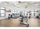 Bright fitness center featuring modern equipment, ceiling fans and natural lighting at 1443 Ridgeback Ln, Apopka, FL 32703