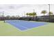 Vibrant community tennis court with pristine surface and netting, surrounded by palm trees at 1443 Ridgeback Ln, Apopka, FL 32703