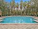 Refreshing community pool with plenty of lounge chairs at 715 Siena Palm Dr, Celebration, FL 34747