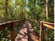 Wooden boardwalk path through lush green foliage at 9451 Brownwood Ct, Oviedo, FL 32765