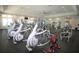 State-of-the-art fitness center with various exercise equipment at 9511 Nautique Ln, Winter Garden, FL 34787