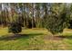 Well-manicured backyard featuring mature trees, lush grass, and natural mulch for a serene outdoor setting at 11148 Lane Park Rd, Tavares, FL 32778