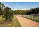 Long driveway leading to a grand entrance featuring a white picket fence and lush greenery at 11148 Lane Park Rd, Tavares, FL 32778