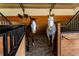 Two horses stand in a well-maintained stall with wood and metal features at 11148 Lane Park Rd, Tavares, FL 32778