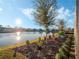 Landscaped backyard with pond view and mature trees at 8575 Hempstead Way, Mount Dora, FL 32757