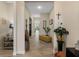 Bright entryway with wood-look tile floor, and decorative plants at 8575 Hempstead Way, Mount Dora, FL 32757