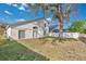 Large backyard with a tree and fence at 1448 Brook Hollow Dr, Orlando, FL 32824