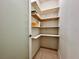 Convenient corner pantry with ample shelving for storage at 41289 County Road, 452, Leesburg, FL 34788