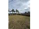 Large backyard with mature palm trees at 5822 Forest Grove Blvd, Orlando, FL 32808