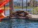 Close-up of a charming waterfall feature in a luxurious pool area at 14442 Avenue Of The Rushes, Winter Garden, FL 34787