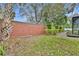 Lush green backyard with a brick wall, trimmed shrubs, and tall palm trees at 1901 Lake Sue Dr, Orlando, FL 32803