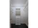Bright walk-in closet with shelving and drawers at 38633 Lakeview Walk, Lady Lake, FL 32159