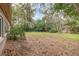 Spacious backyard with mature trees and grass at 525 S Lakemont Ave, Winter Park, FL 32792