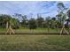 Spacious lot with newly planted palm trees and grassy areas at 1123 Happy Forest Loop, Deland, FL 32720