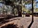 Wooded backyard with a pile of firewood at 12151 Se 86Th Ave, Belleview, FL 34420