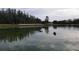 Serene lake view with ducks at 1001 Park Ridge Cir, Kissimmee, FL 34746