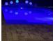 Luminous blue pool at night with ambient lighting at 3465 Middlebrook Pl, Harmony, FL 34773