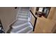 Carpeted staircase with dark wood railing at 3656 Brighton Park Cir, Orlando, FL 32812