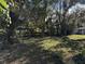 Expansive backyard with pergola and mature trees at 2429 S Elm Ave, Sanford, FL 32771